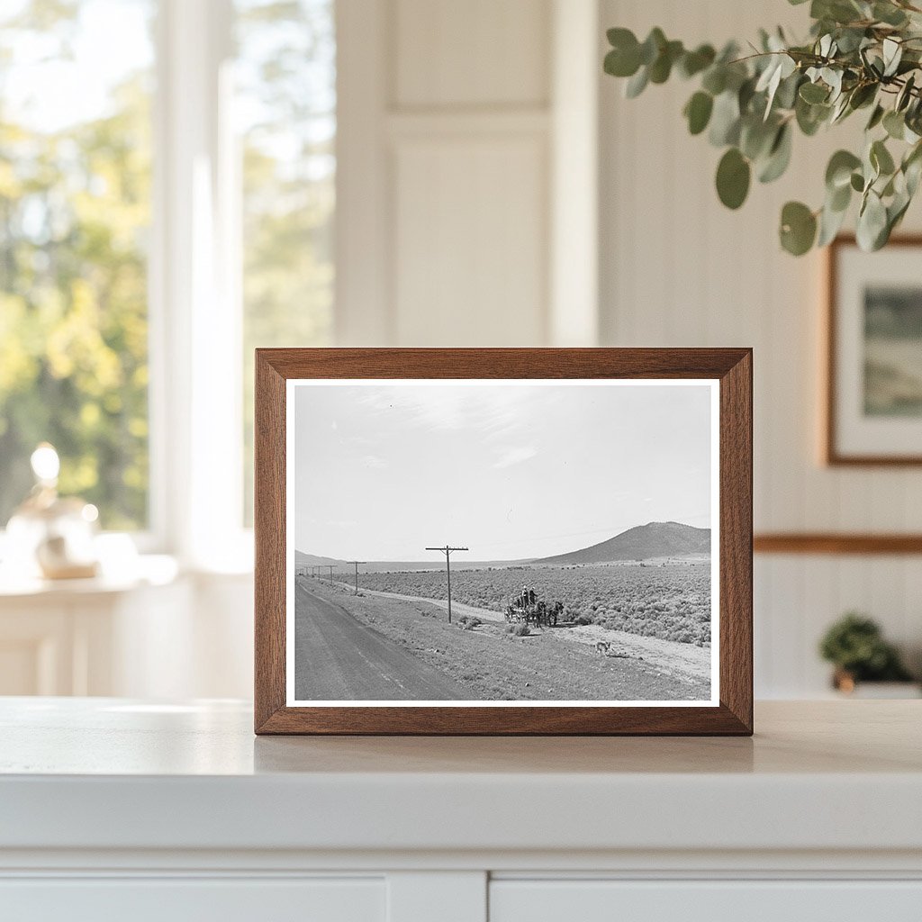 Sagebrush Landscape South of Costilla New Mexico 1939