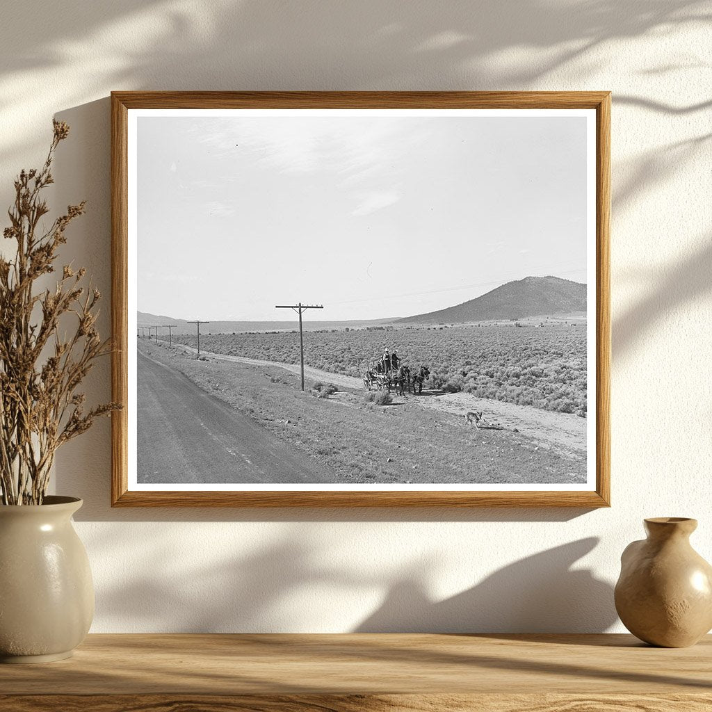 Sagebrush Landscape in Taos County New Mexico 1939