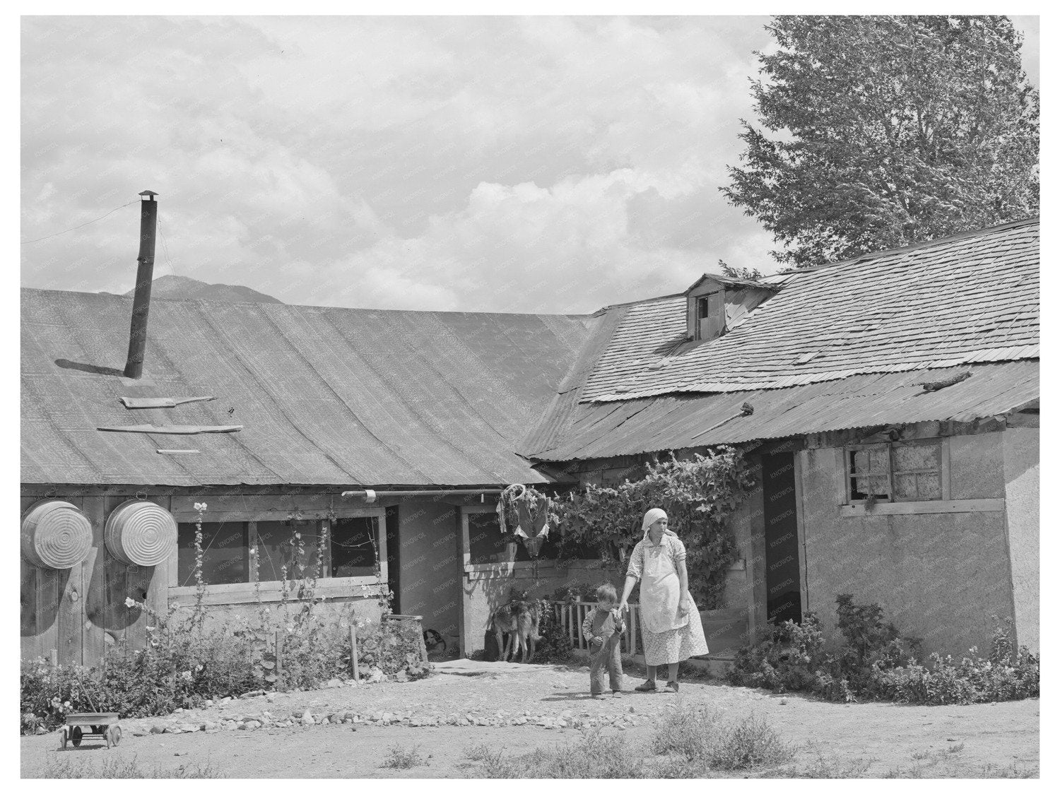 Spanish-American Farm Home in Questa New Mexico 1939