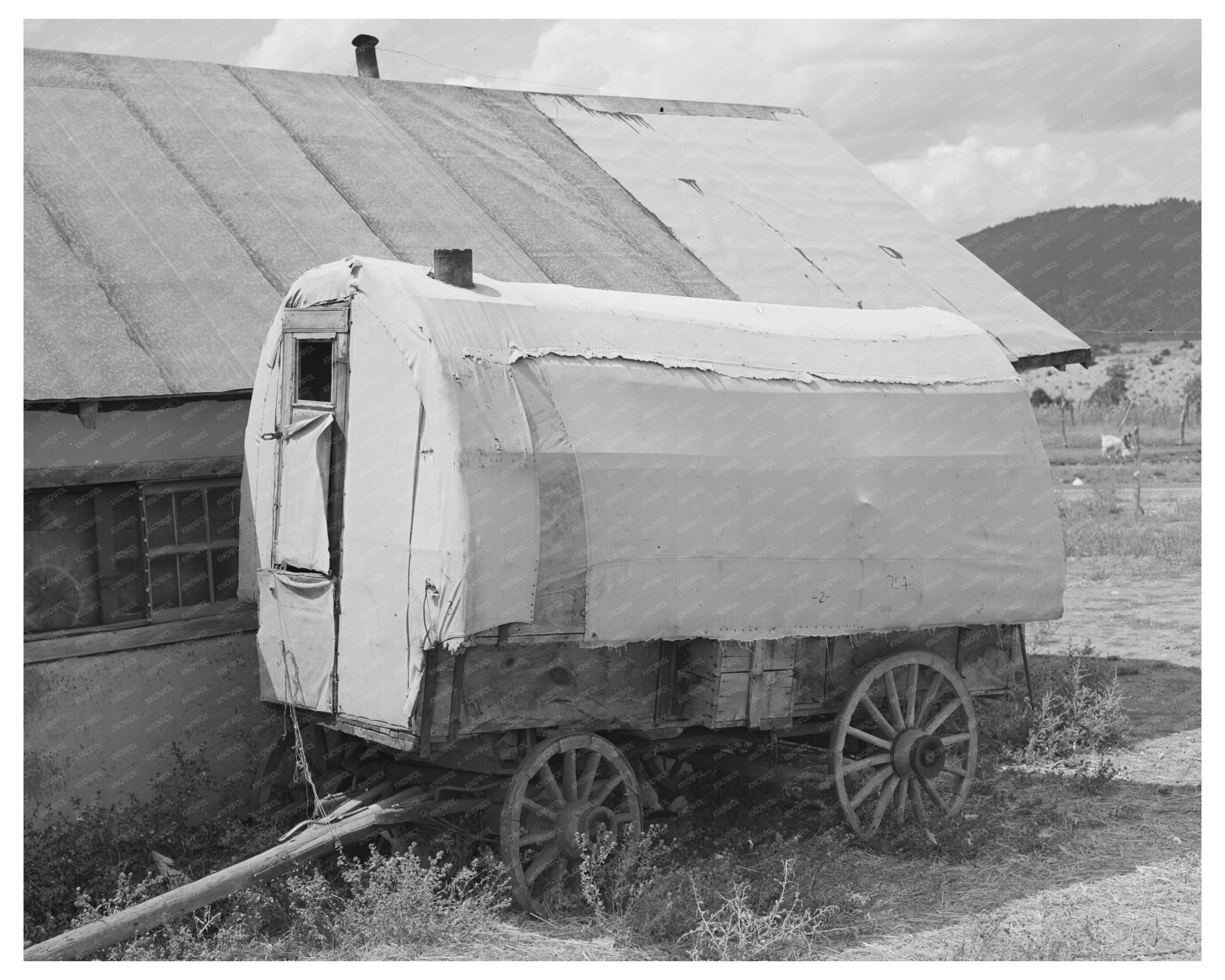 Old Sheepherders Wagon Near Questa New Mexico 1939