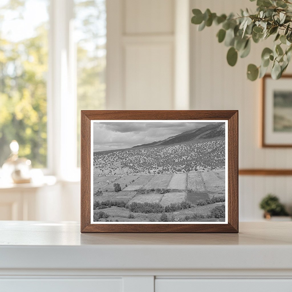 Strip Farms Along Rio Hondo Taos New Mexico 1939