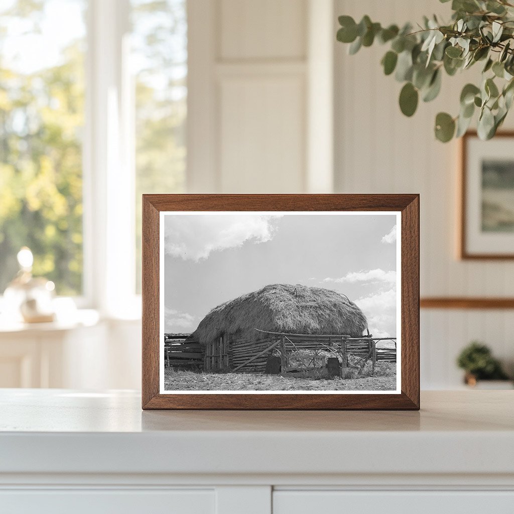 Straw-Covered Barn on New Mexico Farm September 1939