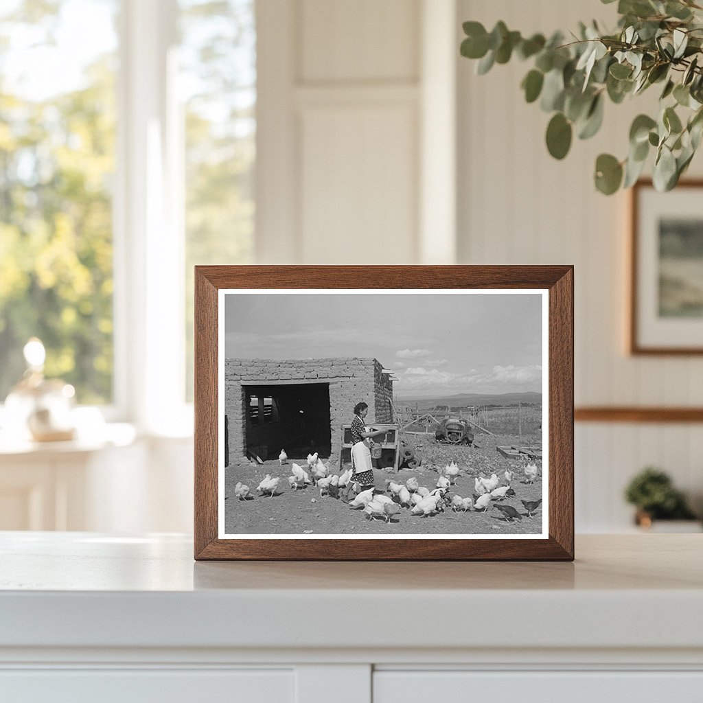 Ofelia Trujillo Feeding Chickens in Taos New Mexico 1939