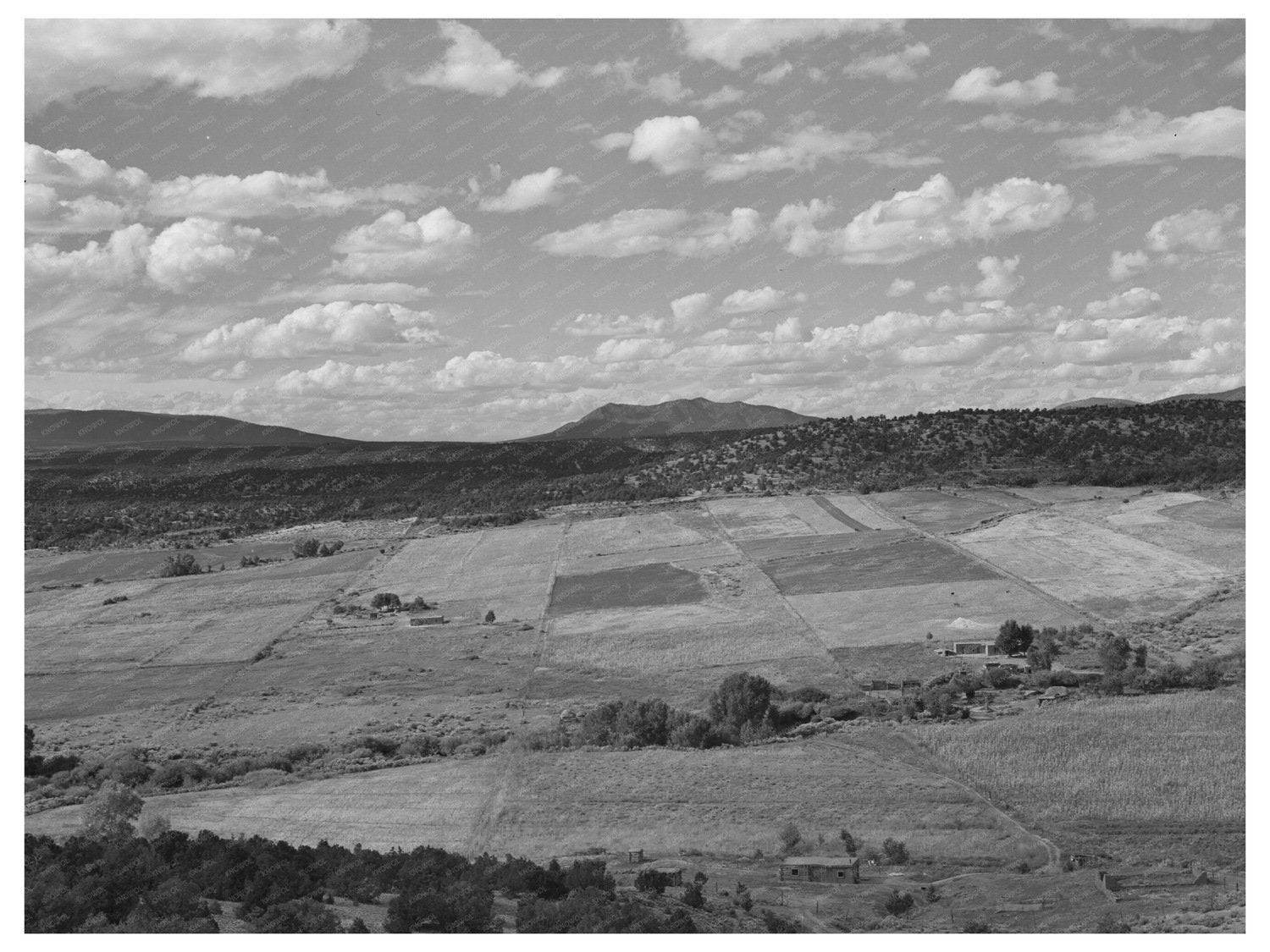 Strip Farming in Taos County New Mexico 1939