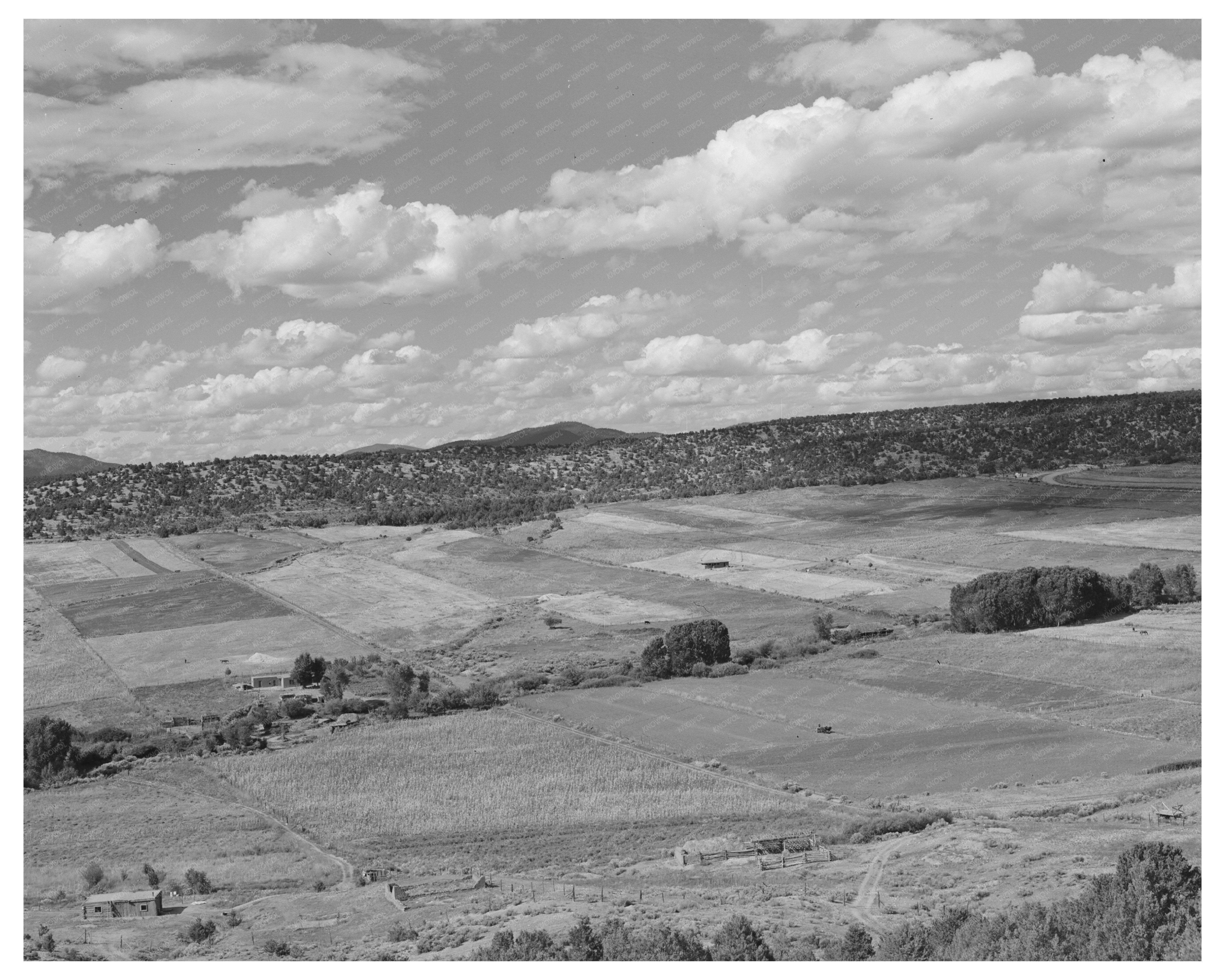 Strip Farming in San Cristobal Taos County New Mexico 1939