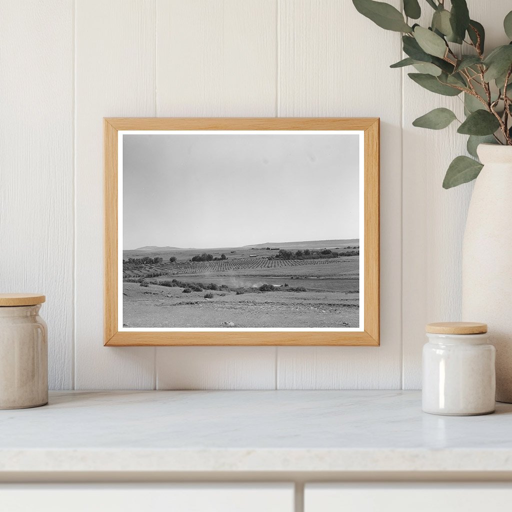 Mora River Valley Orchard New Mexico 1939