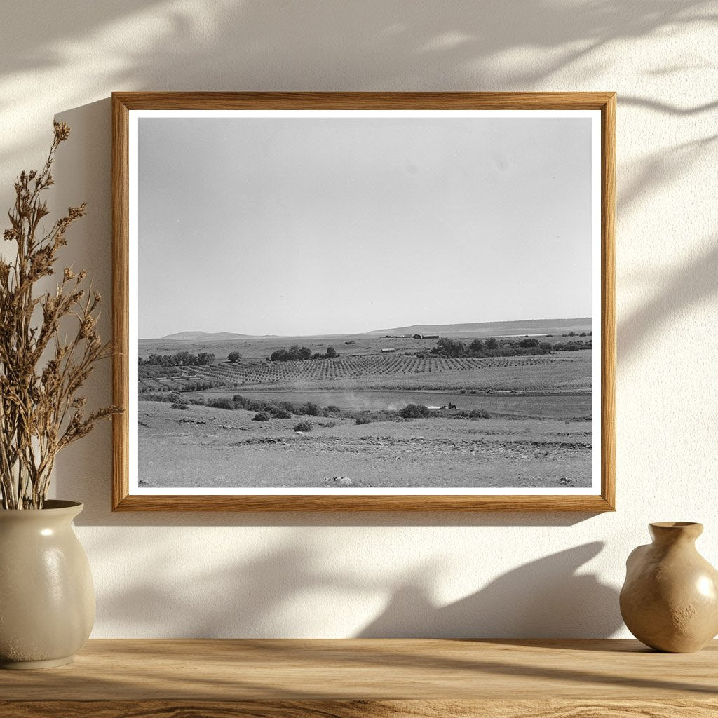 Mora River Valley Orchard New Mexico 1939