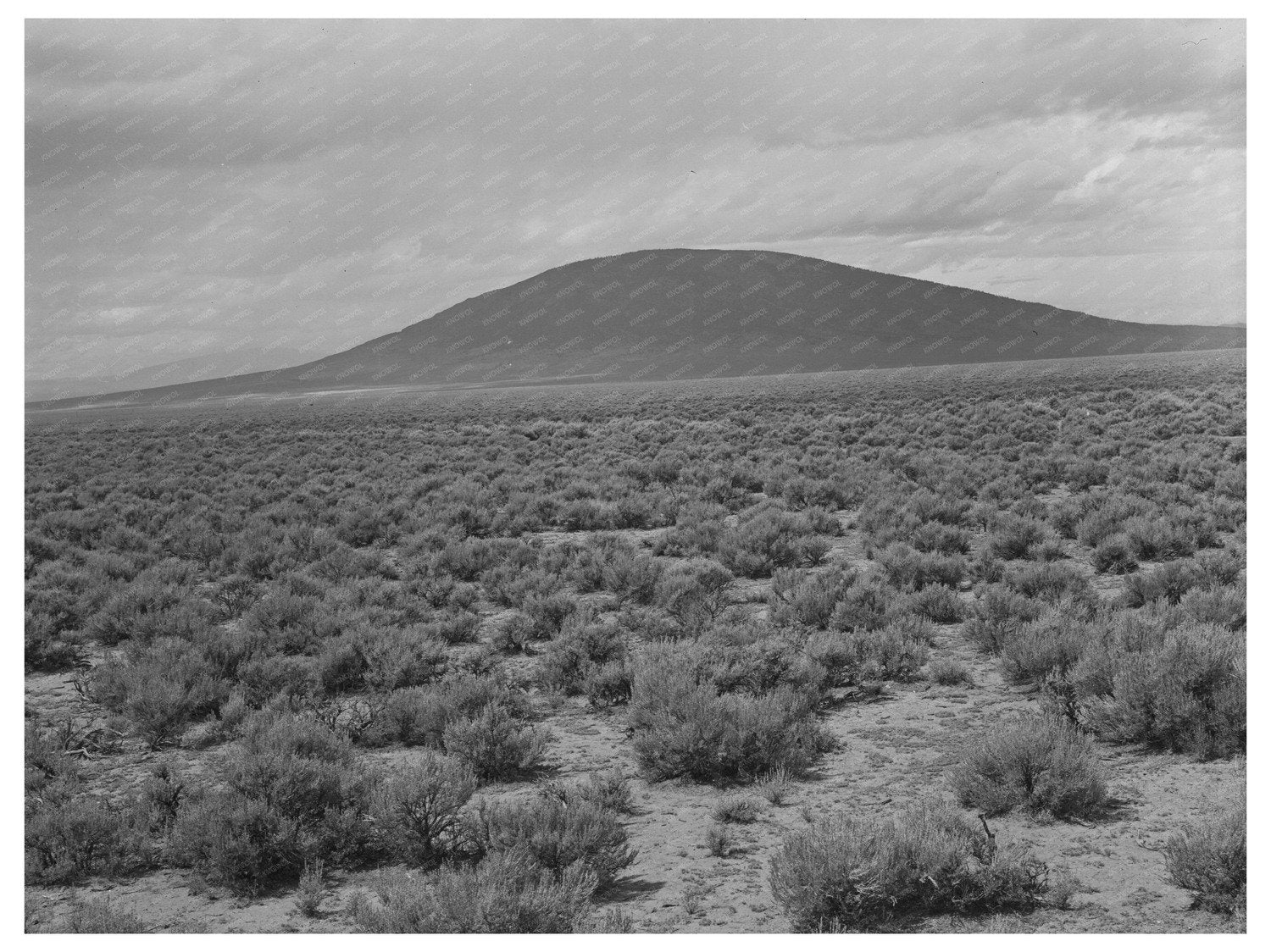 Sagebrush Country Near Costilla New Mexico 1939