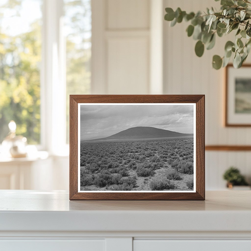 Sagebrush Country Near Costilla New Mexico 1939