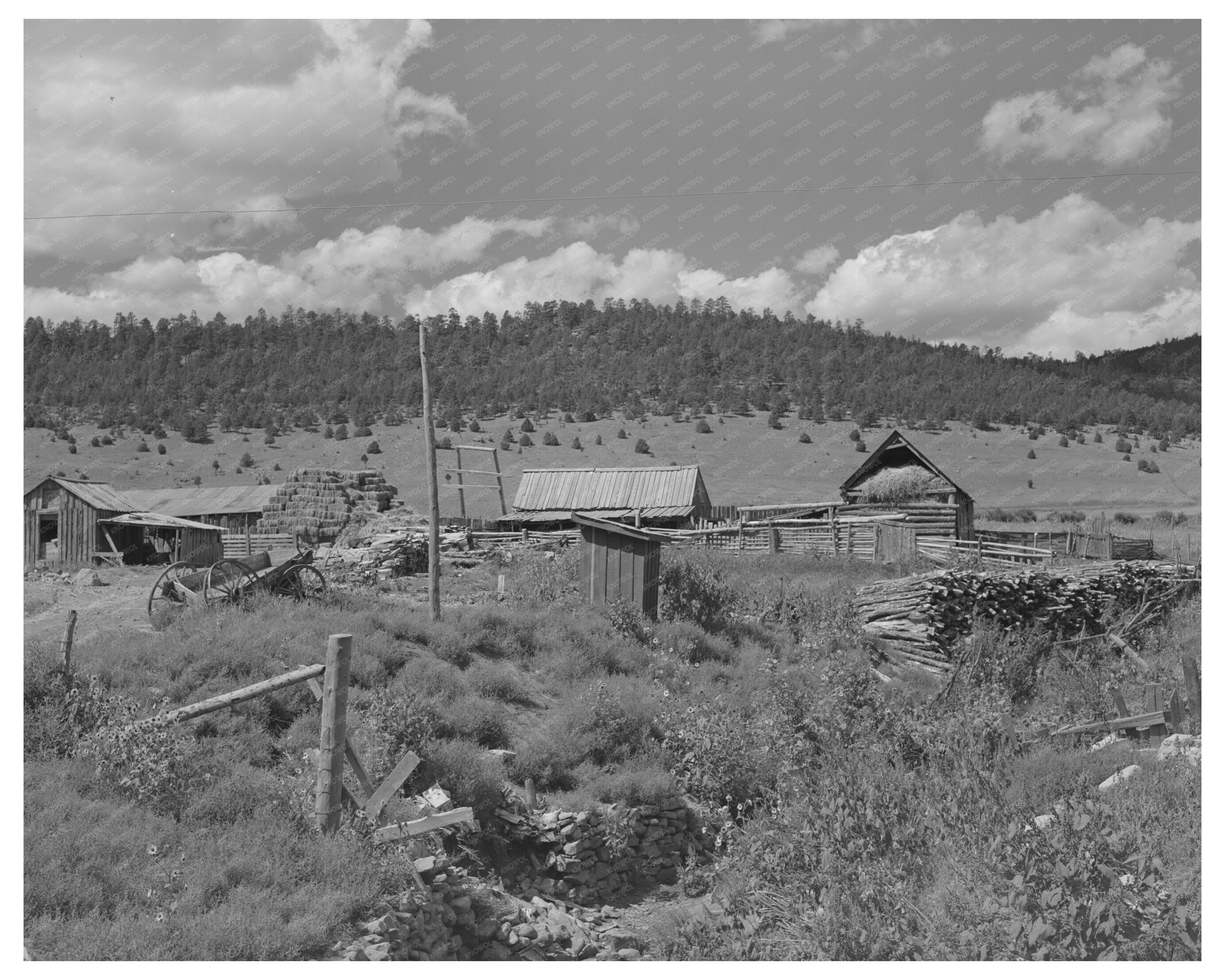 Spanish-American Farm in Holman New Mexico 1939
