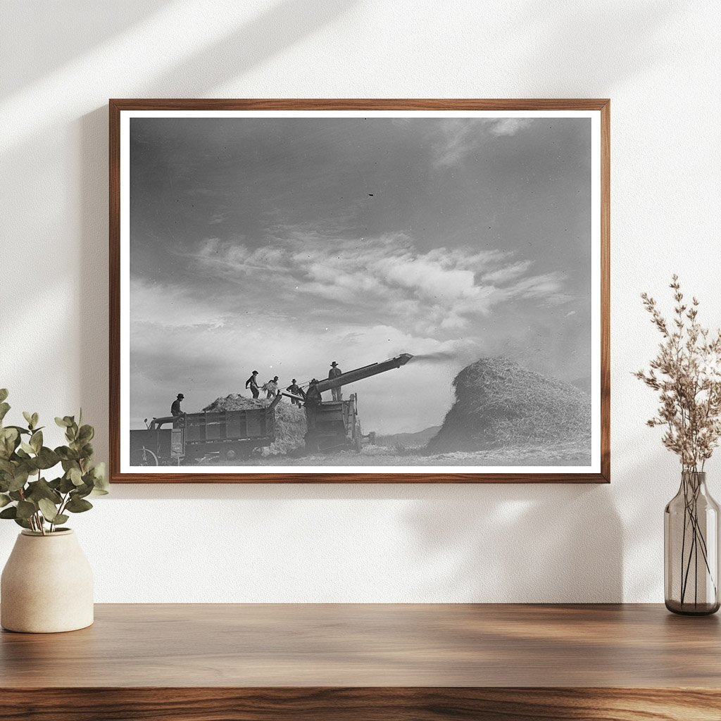 Threshing Wheat in Questa New Mexico September 1939