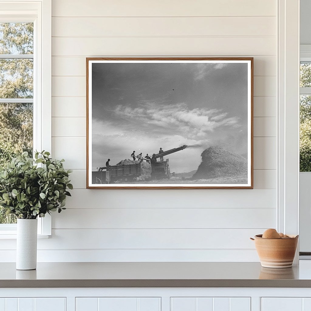 Threshing Wheat in Questa New Mexico September 1939