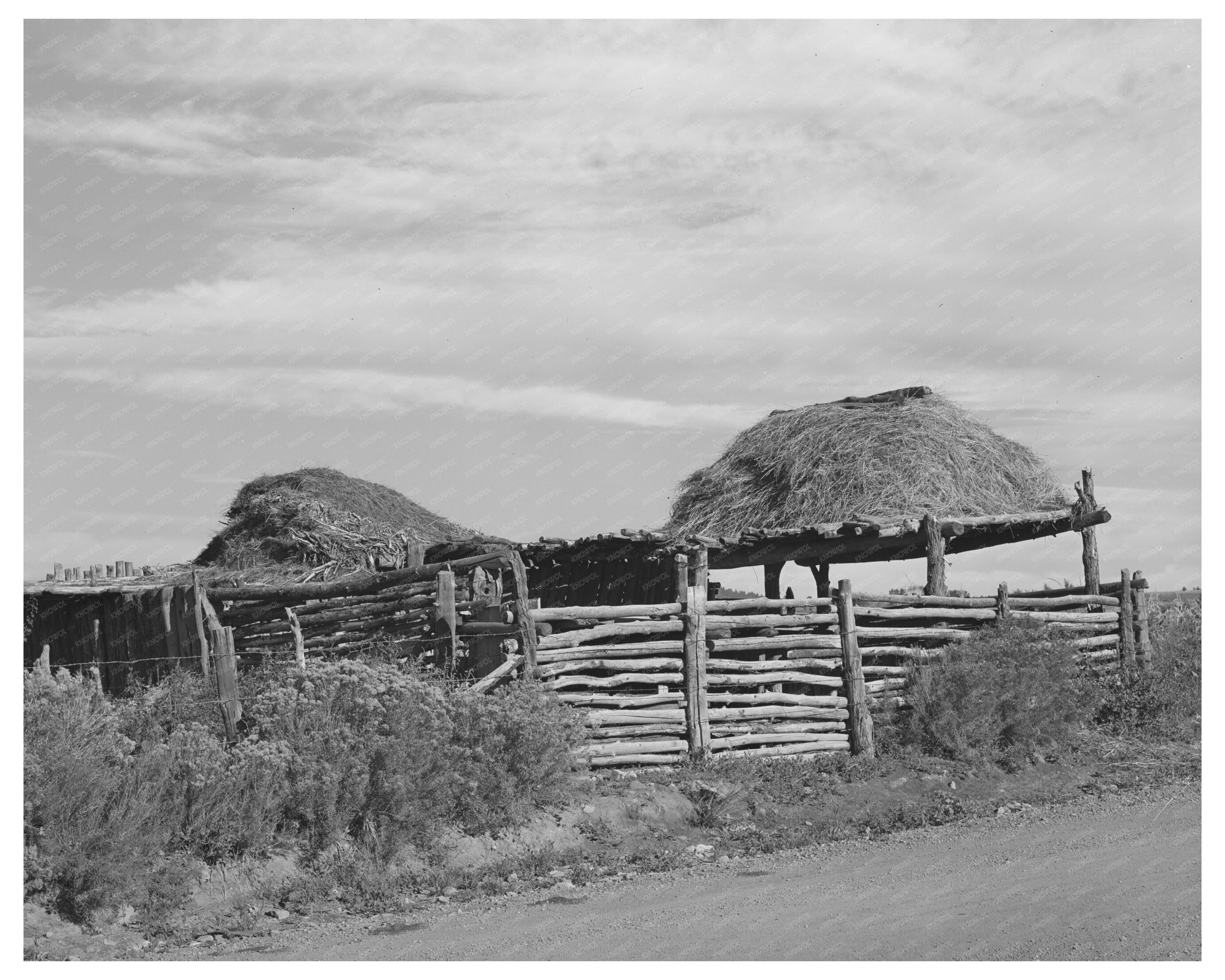 Stock Shelters with Hay Roofs Near Questa New Mexico 1939