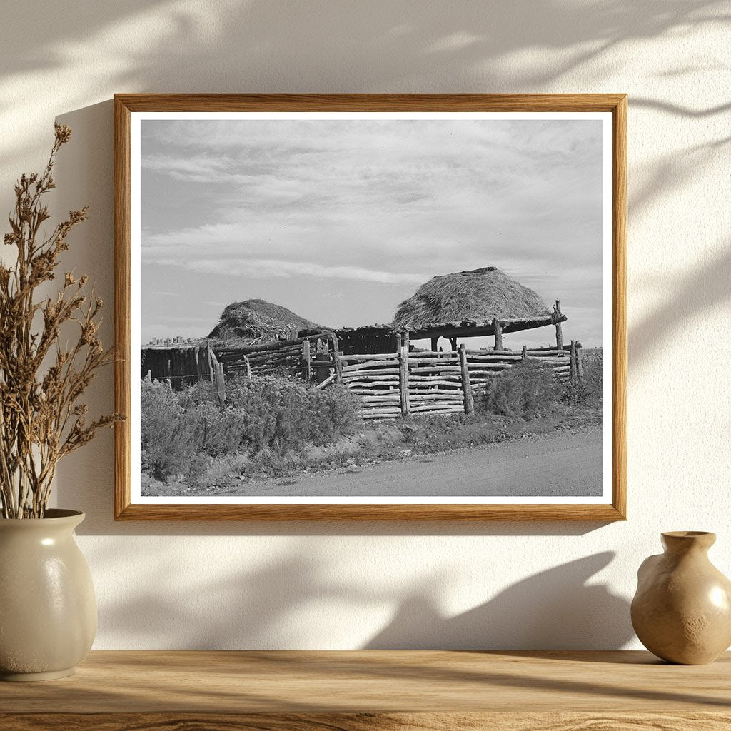 Stock Shelters with Hay Roofs Near Questa New Mexico 1939