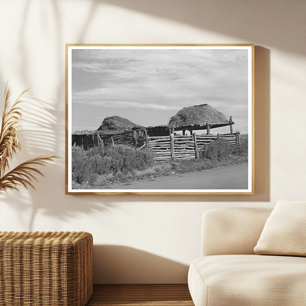 Stock Shelters with Hay Roofs Near Questa New Mexico 1939