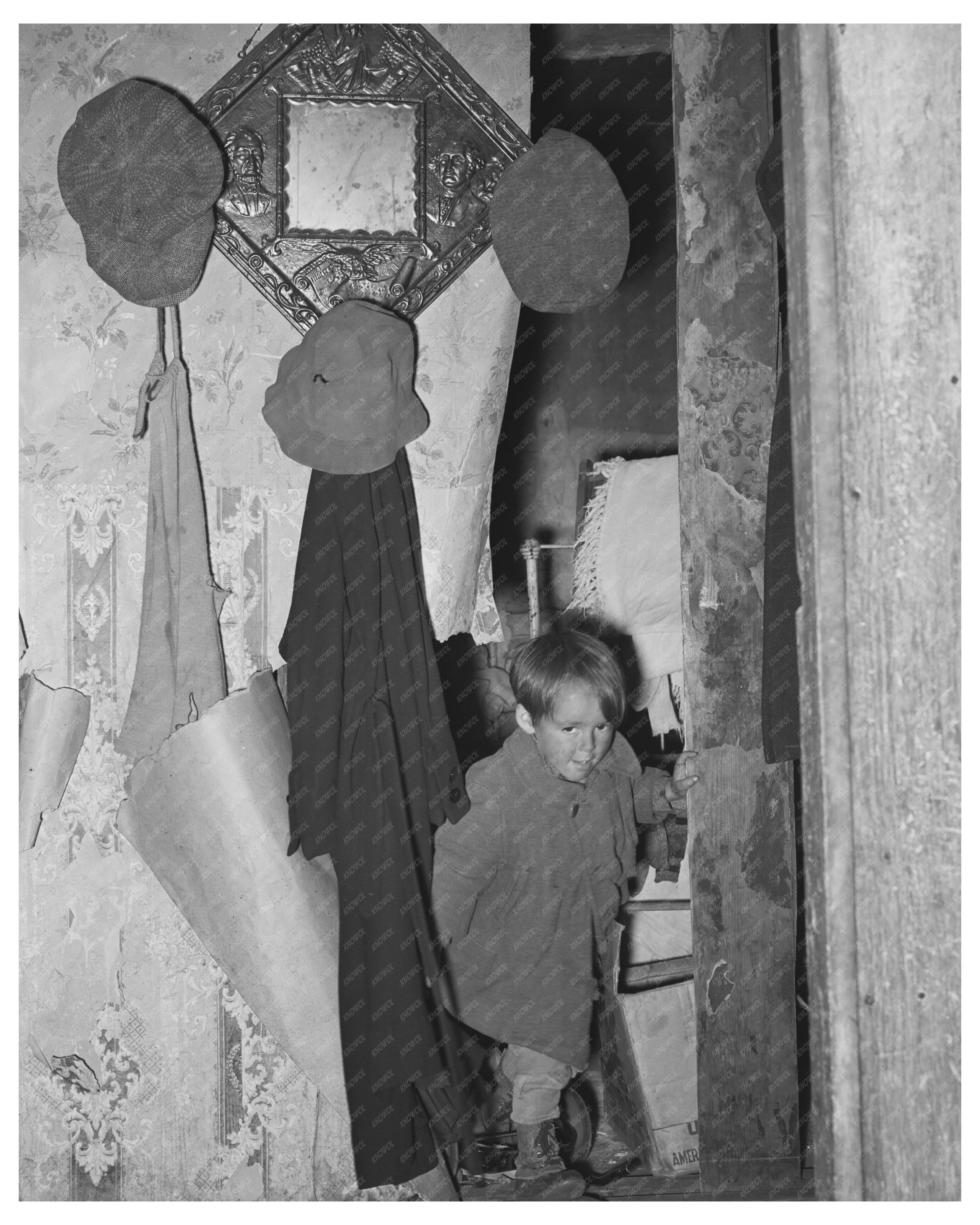 Son of FSA Borrower Orange County Vermont 1939