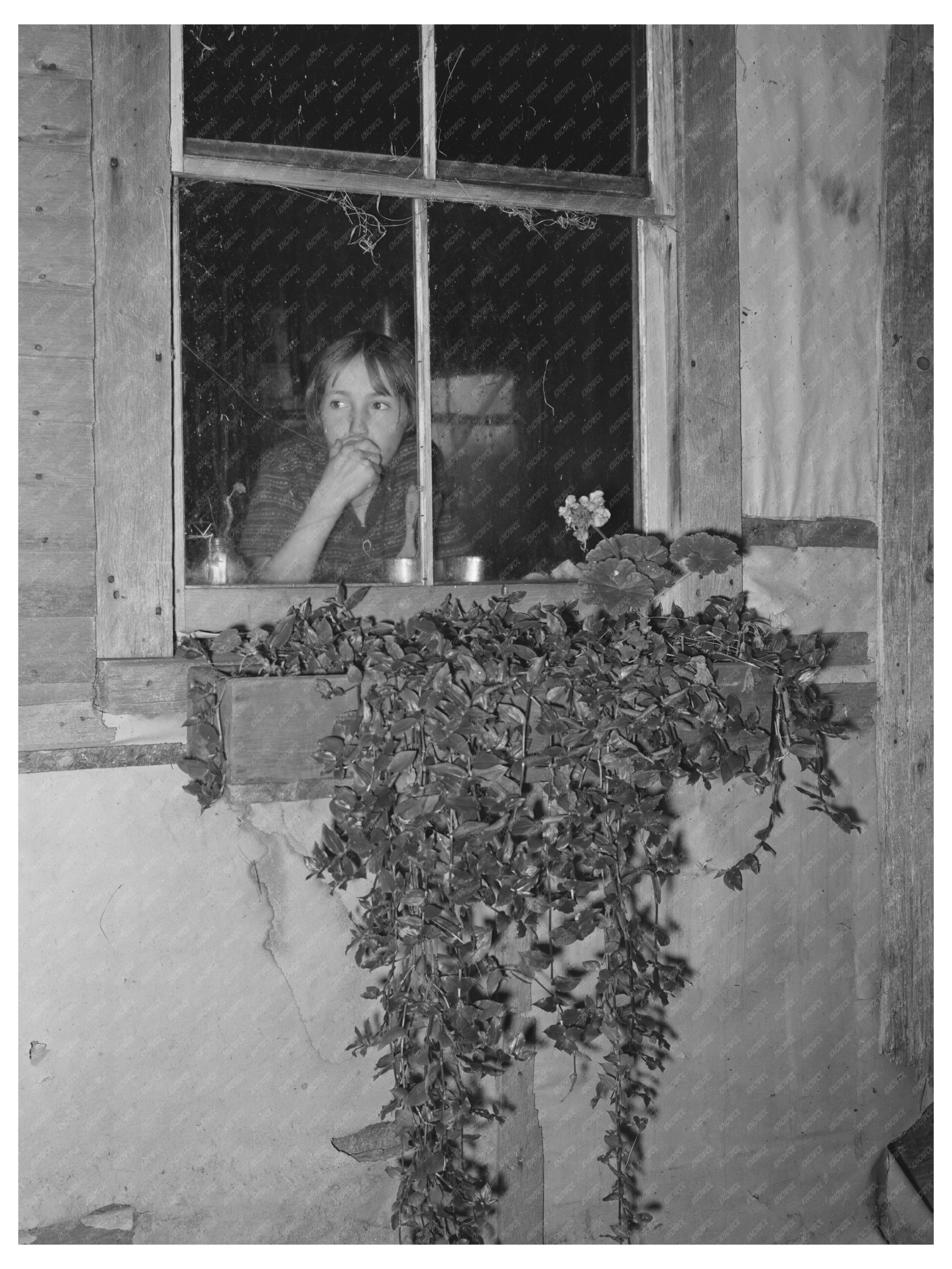 Farm Life in Vermont October 1939 FSA Collection Image