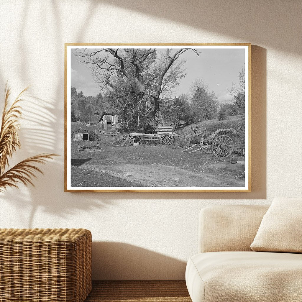 Vintage Barnyard Scene in Orange County Vermont 1939