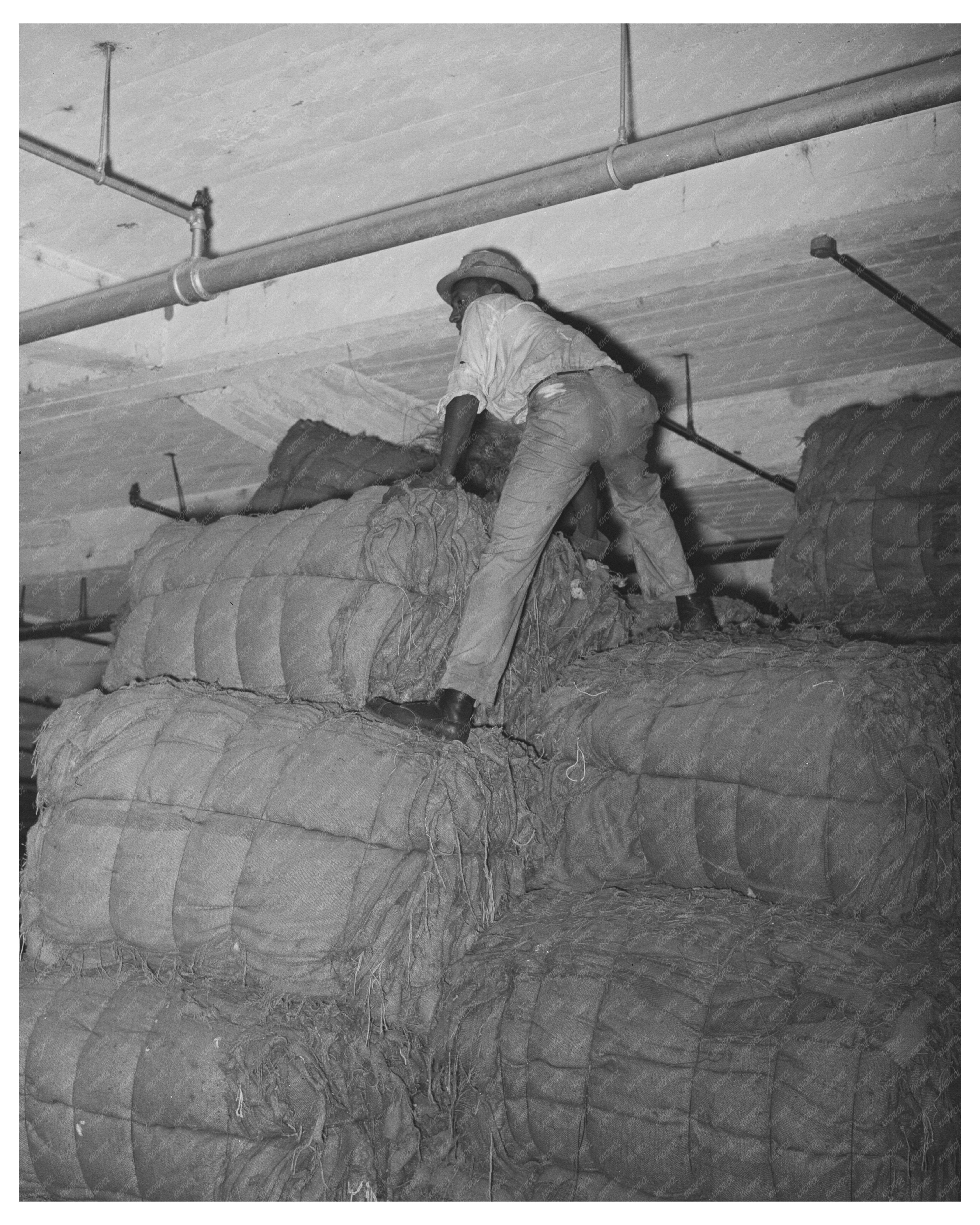 Warehouse Worker on Burlap Bags Houston Texas 1944