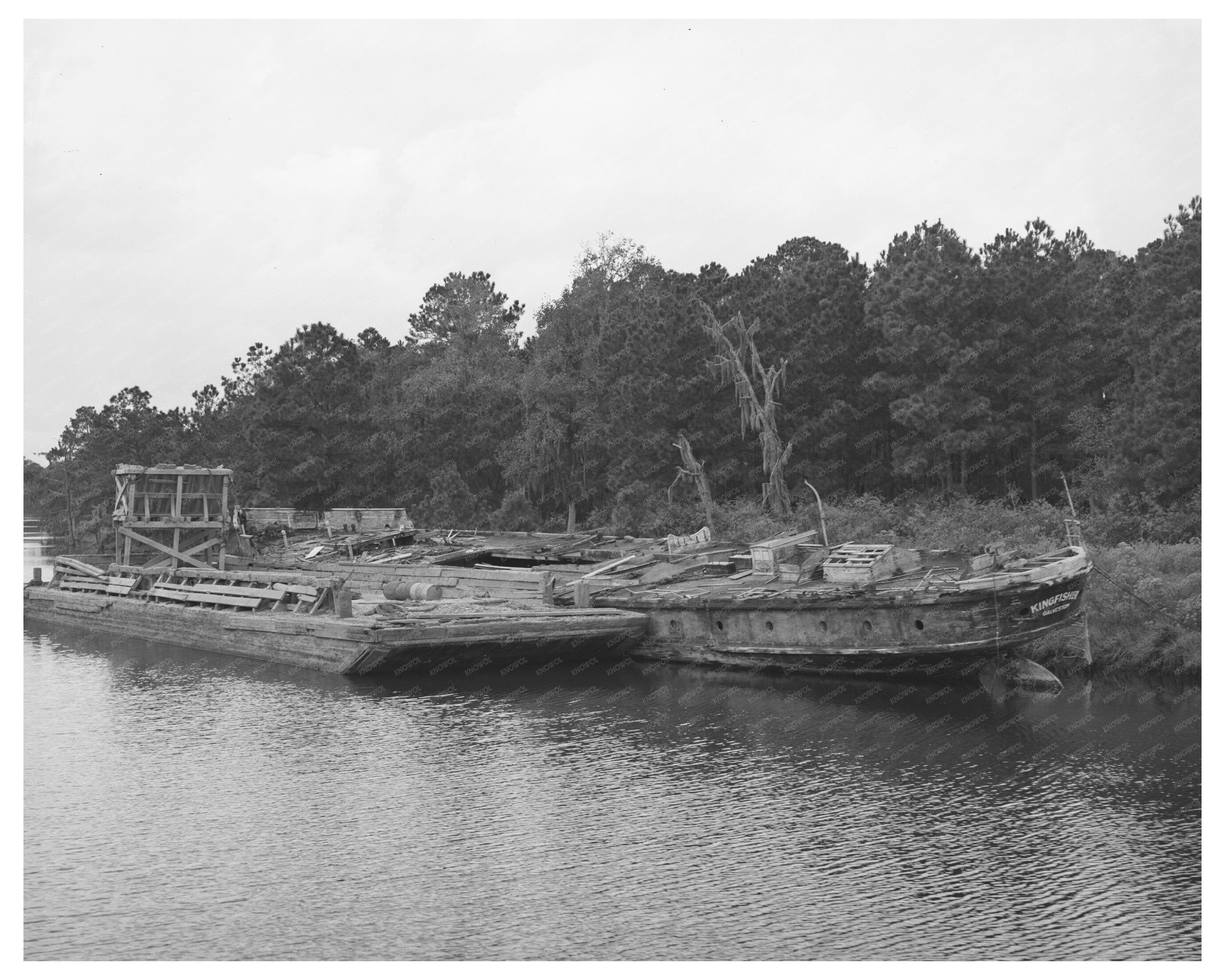 Decay of Hulls in Bayou near Houston Texas 1939