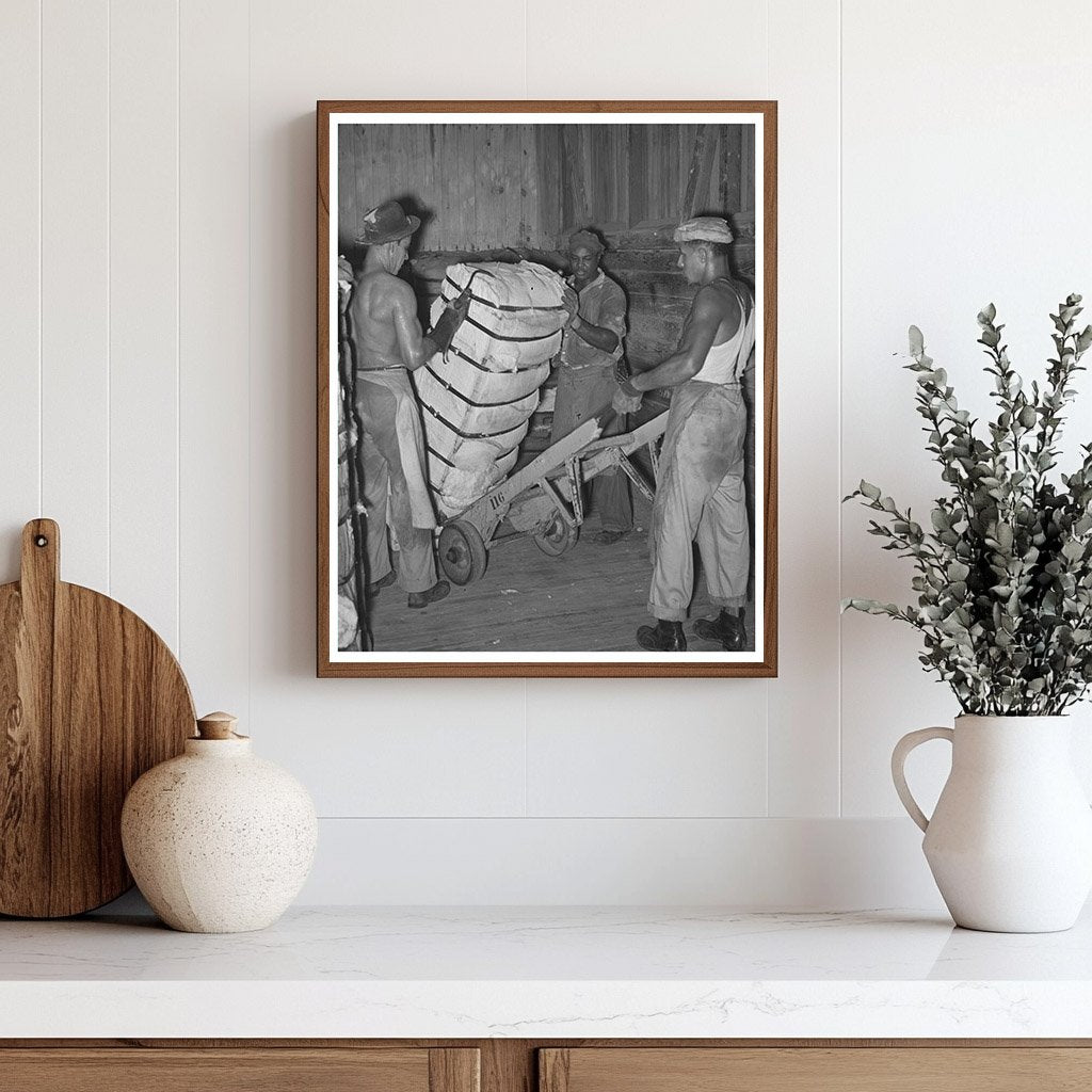 Worker Unloading Cotton Bale in Houston Texas 1939