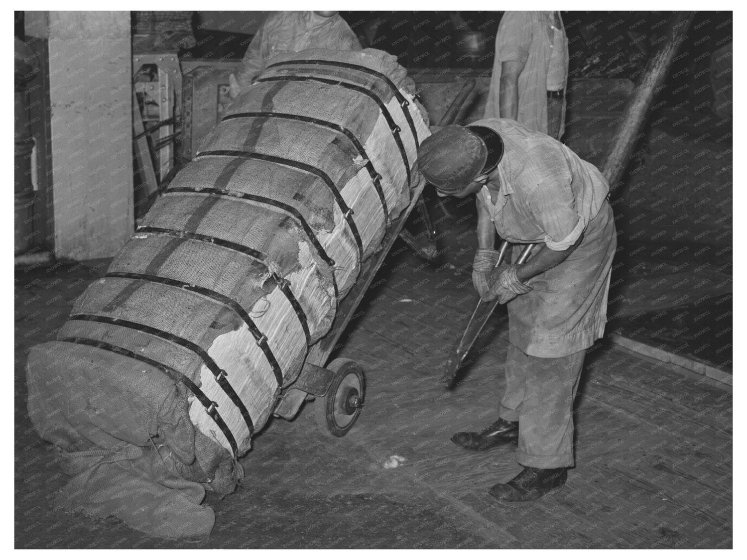 Worker Handling Cotton Bale in Houston Texas 1939