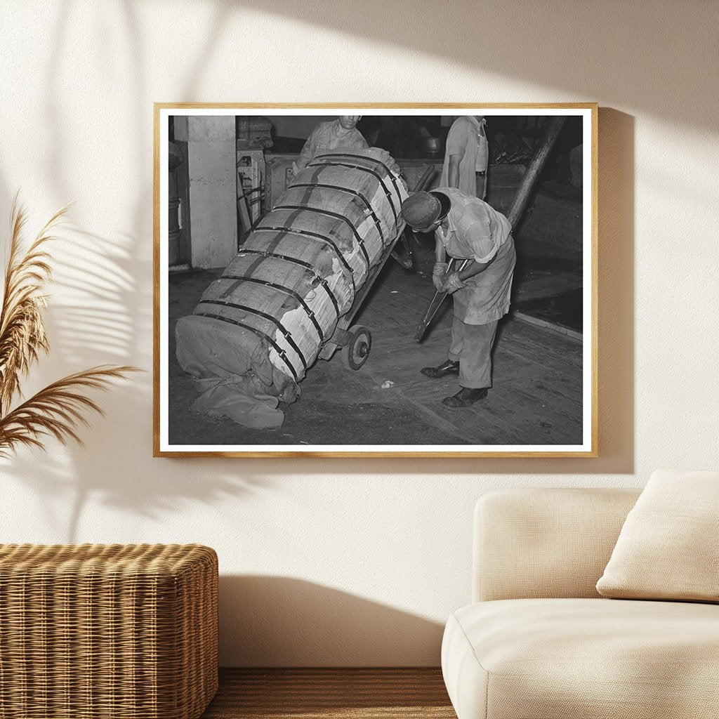 Cotton Preparation in Houston Texas 1939