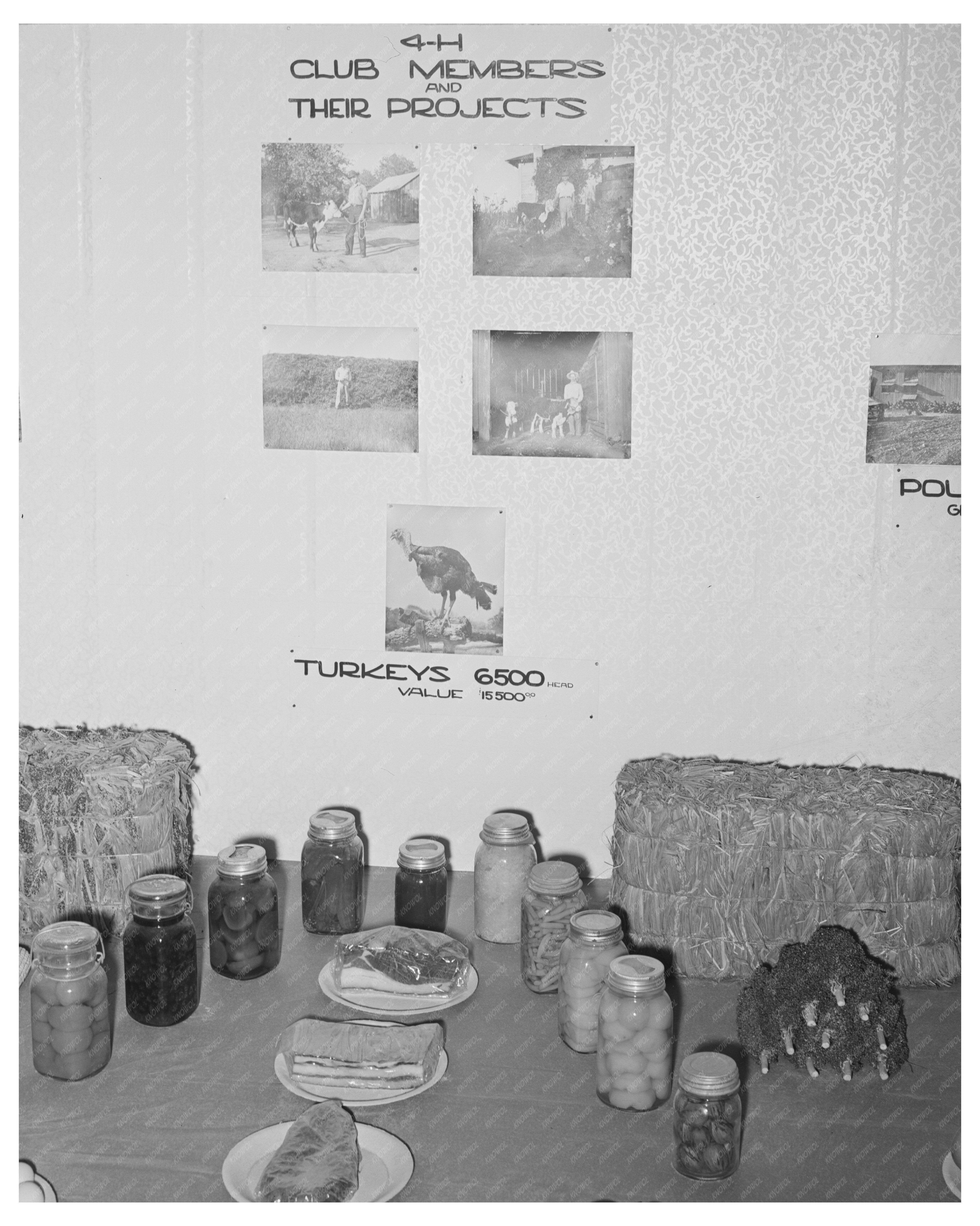 4-H Club Exhibit Gonzales County Fair Texas 1939
