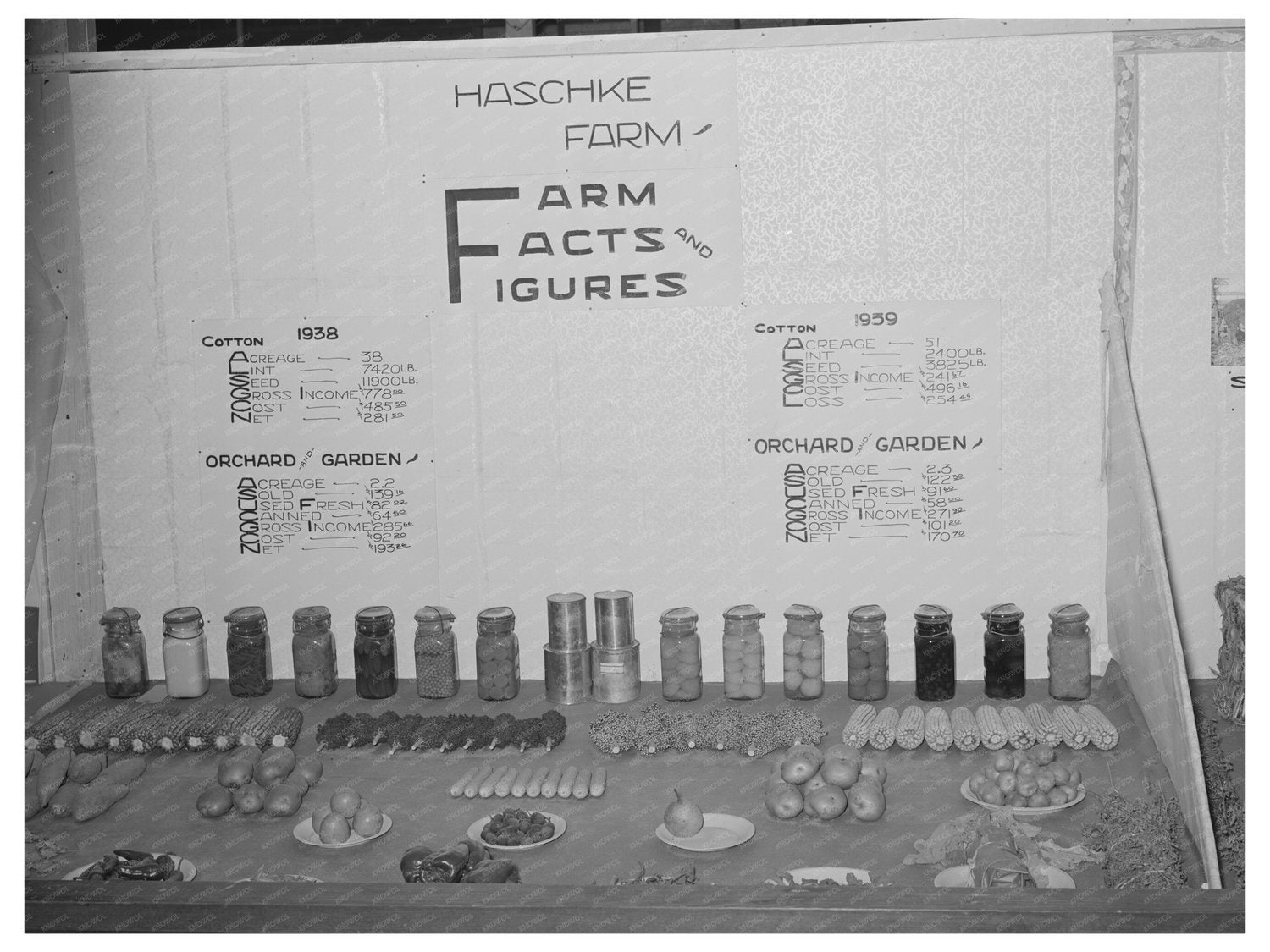 Bookkeeping in Farm Life Exhibit Gonzales Texas 1939