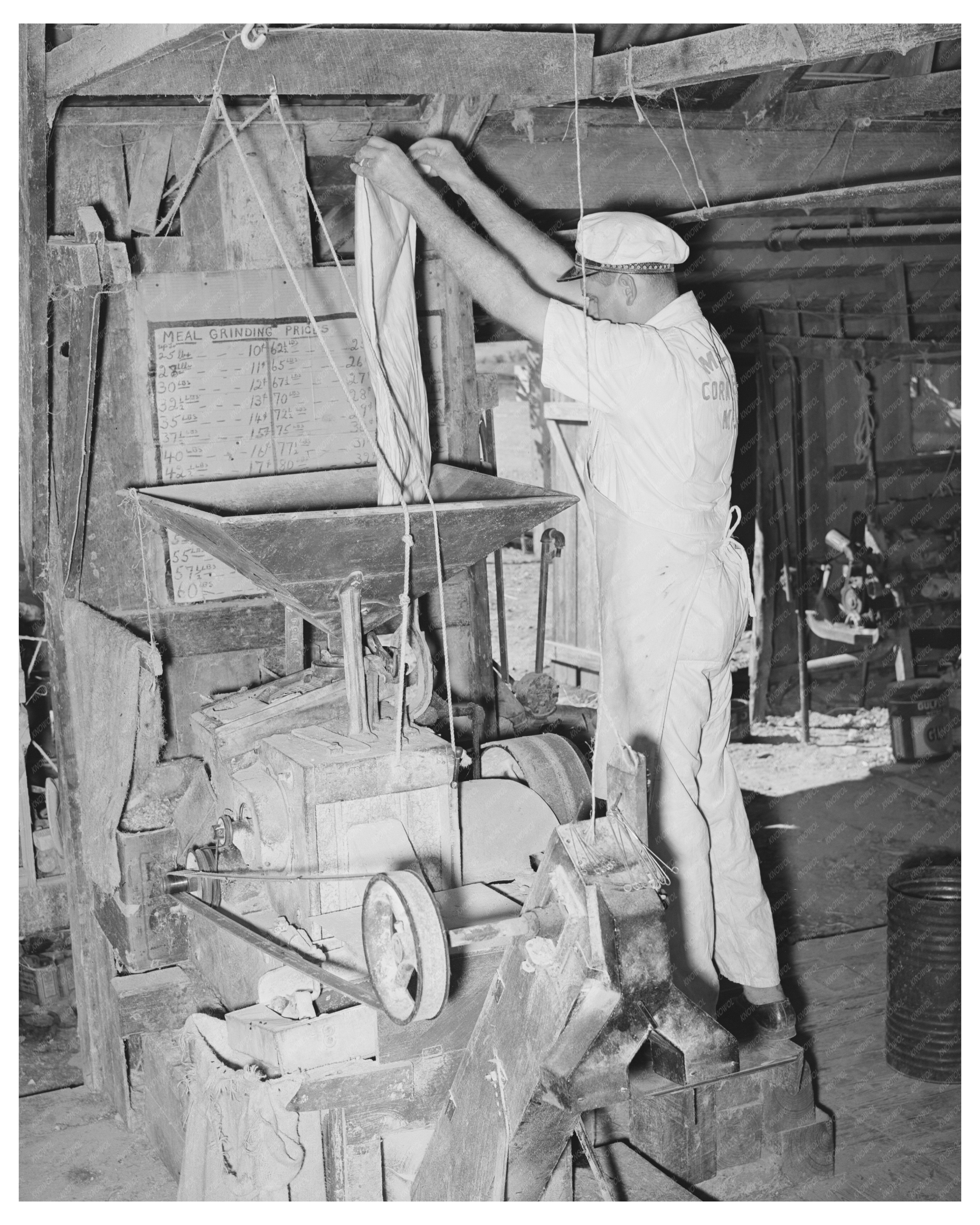 Feed Mill Proprietor Emptying Corn Hopper November 1939