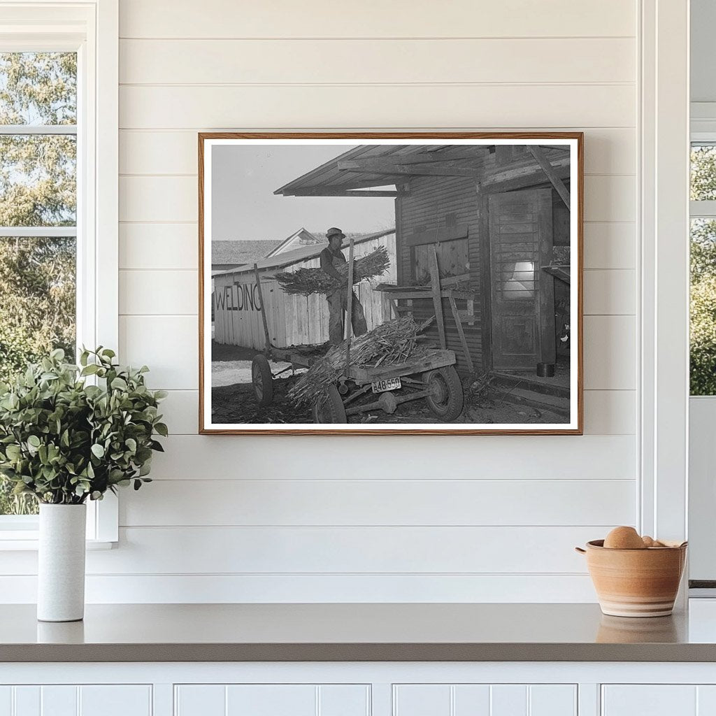 Farmer Unloading Corn at Feed Mill Taylor Texas 1939