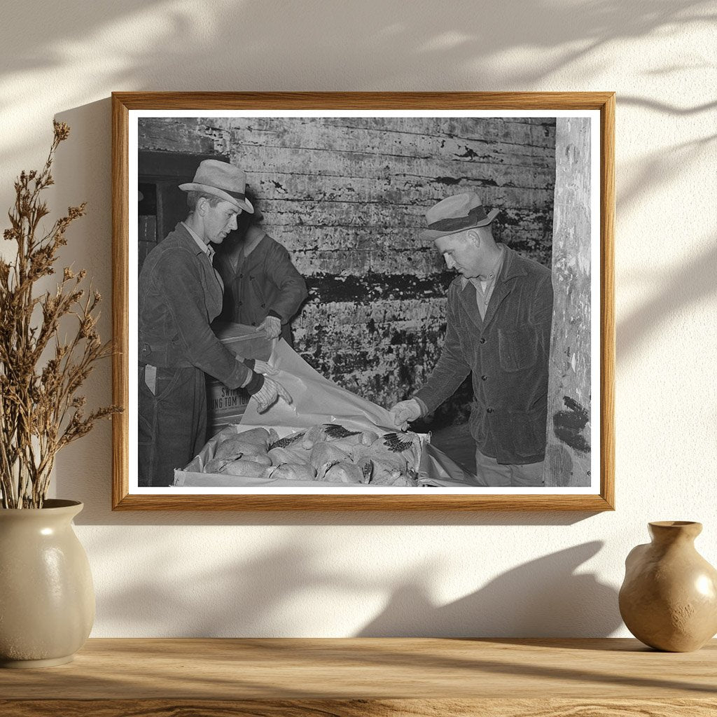 Workers Packing Turkeys at Cold Storage Plant 1939