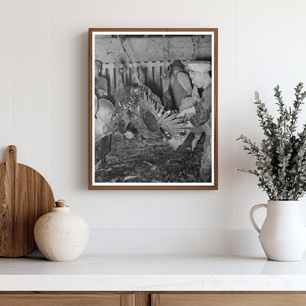 Turkey Processing at Cooperative Plant Brownwood Texas 1939