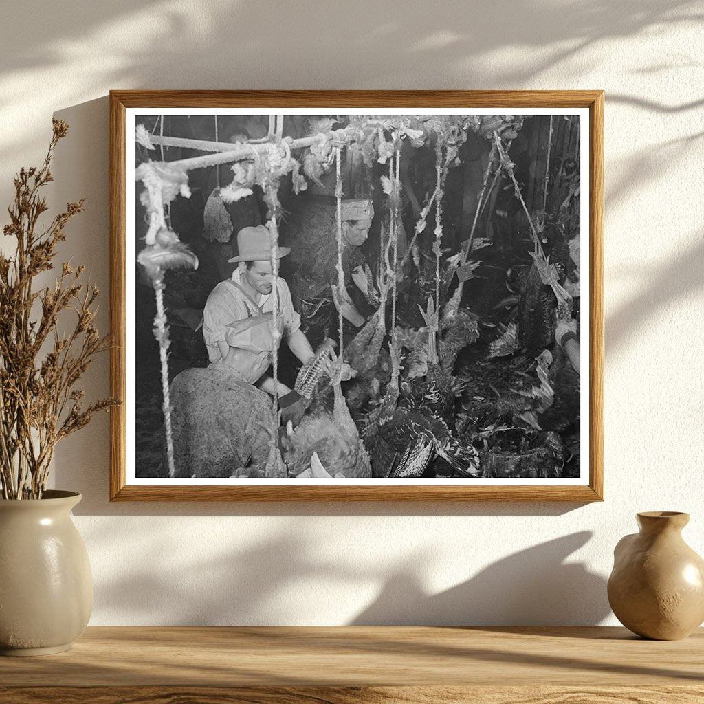 Turkey Picking Process in Brownwood Texas 1939