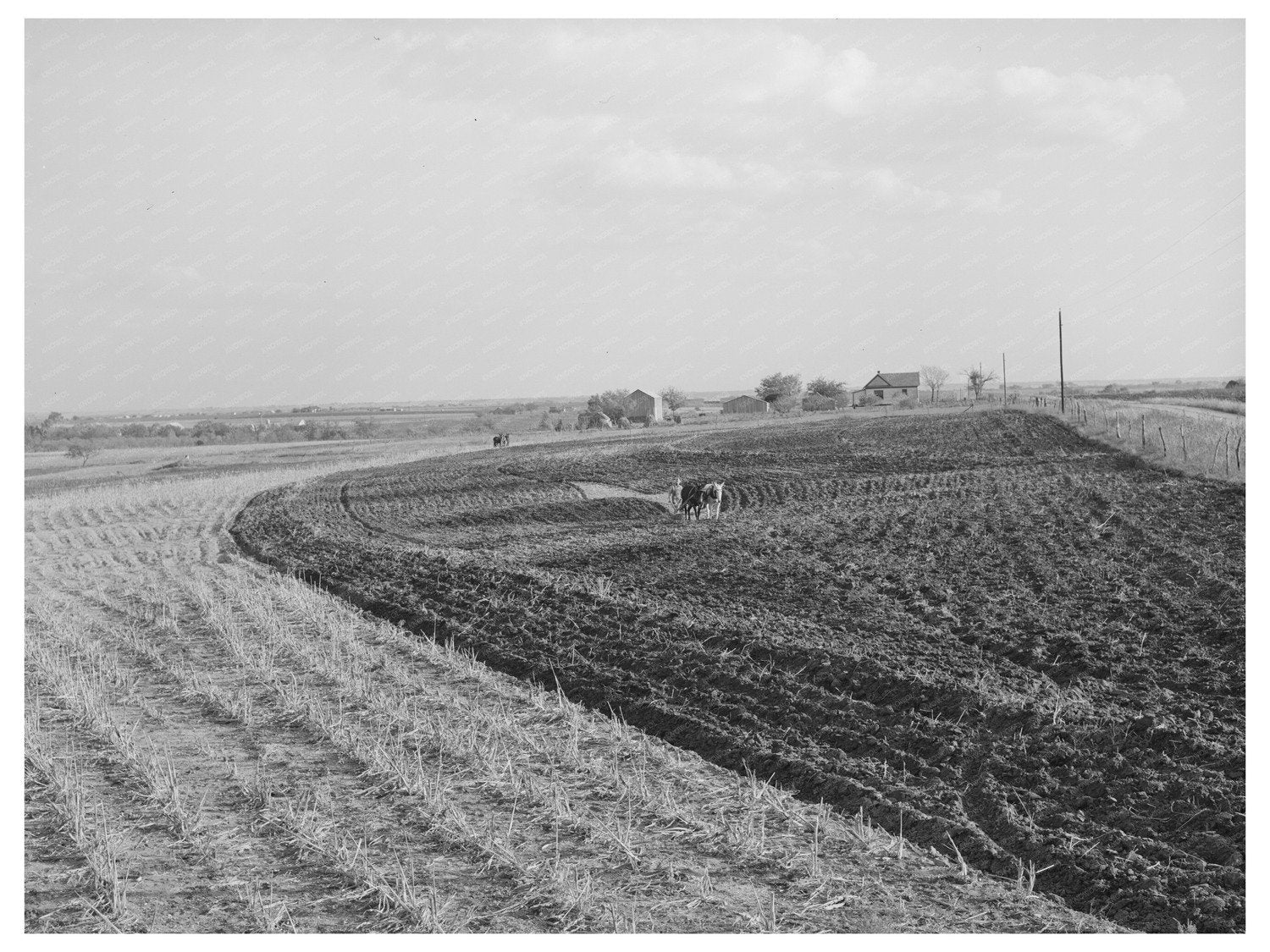 Fall Plowing in McLennan County Texas 1939