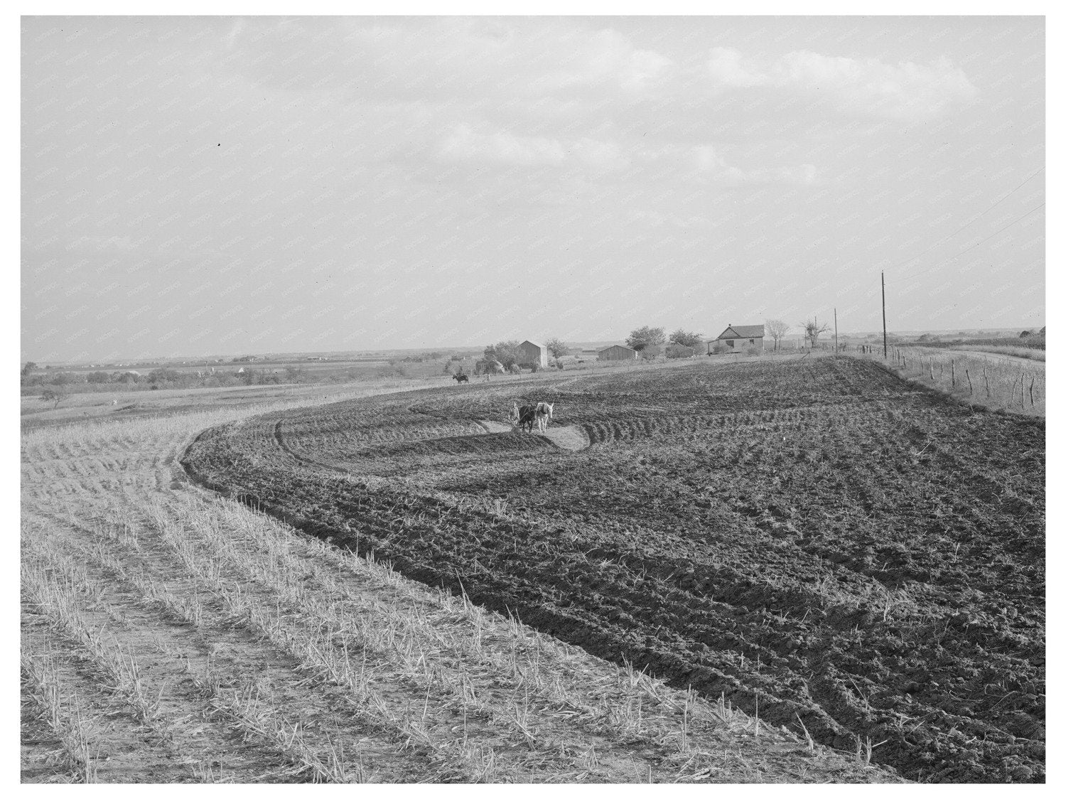 Freshly Plowed Cornfield McLennan County Texas 1939
