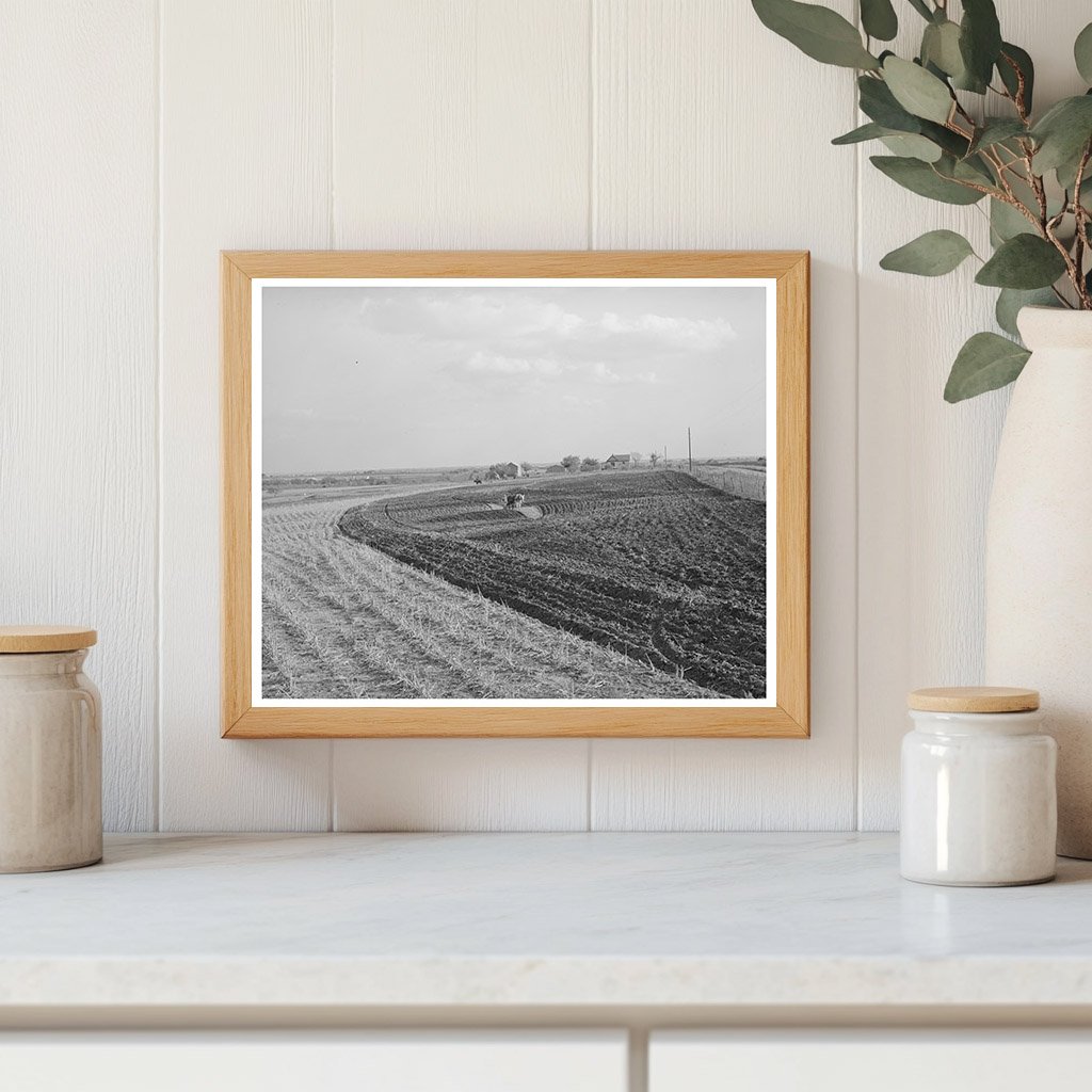 Freshly Plowed Cornfield in McLennan County Texas 1939