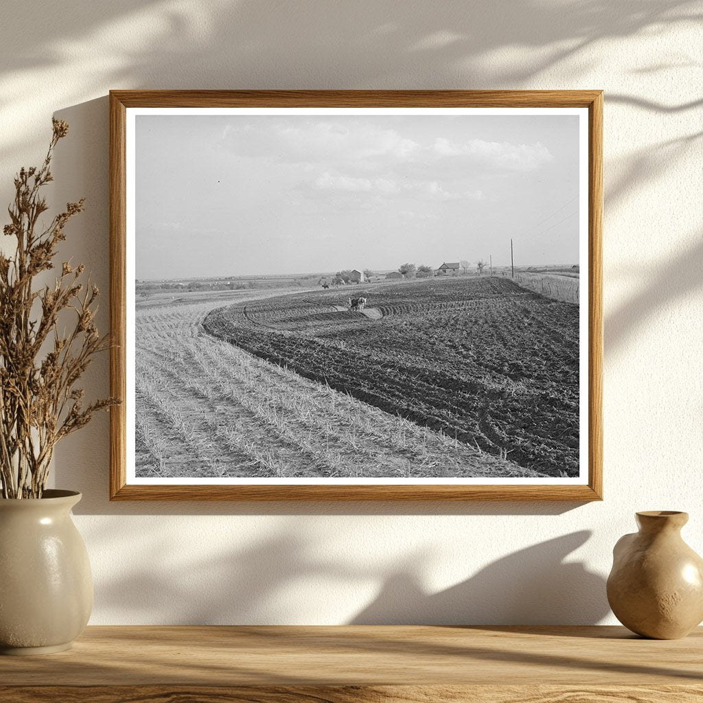 Freshly Plowed Cornfield in McLennan County Texas 1939