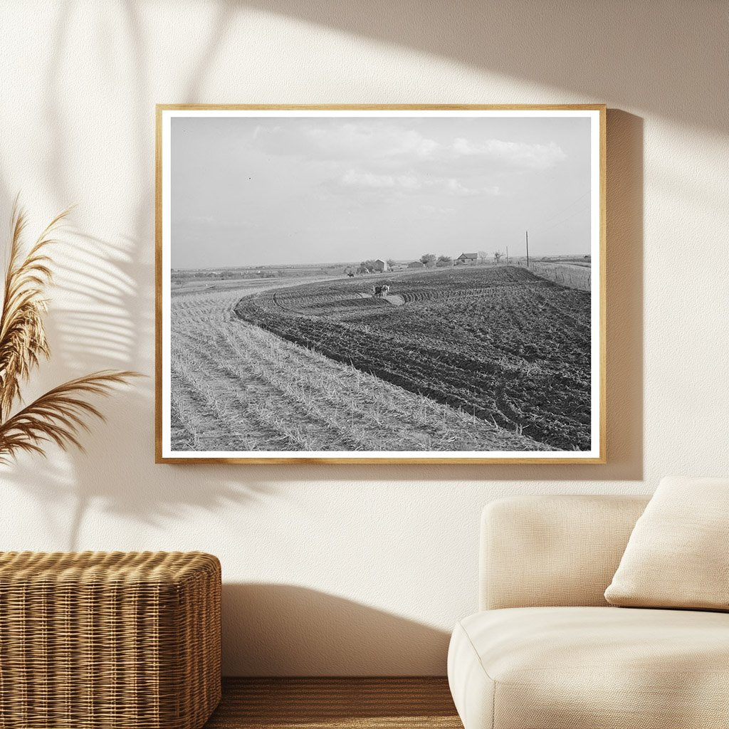 Freshly Plowed Cornfield in McLennan County Texas 1939