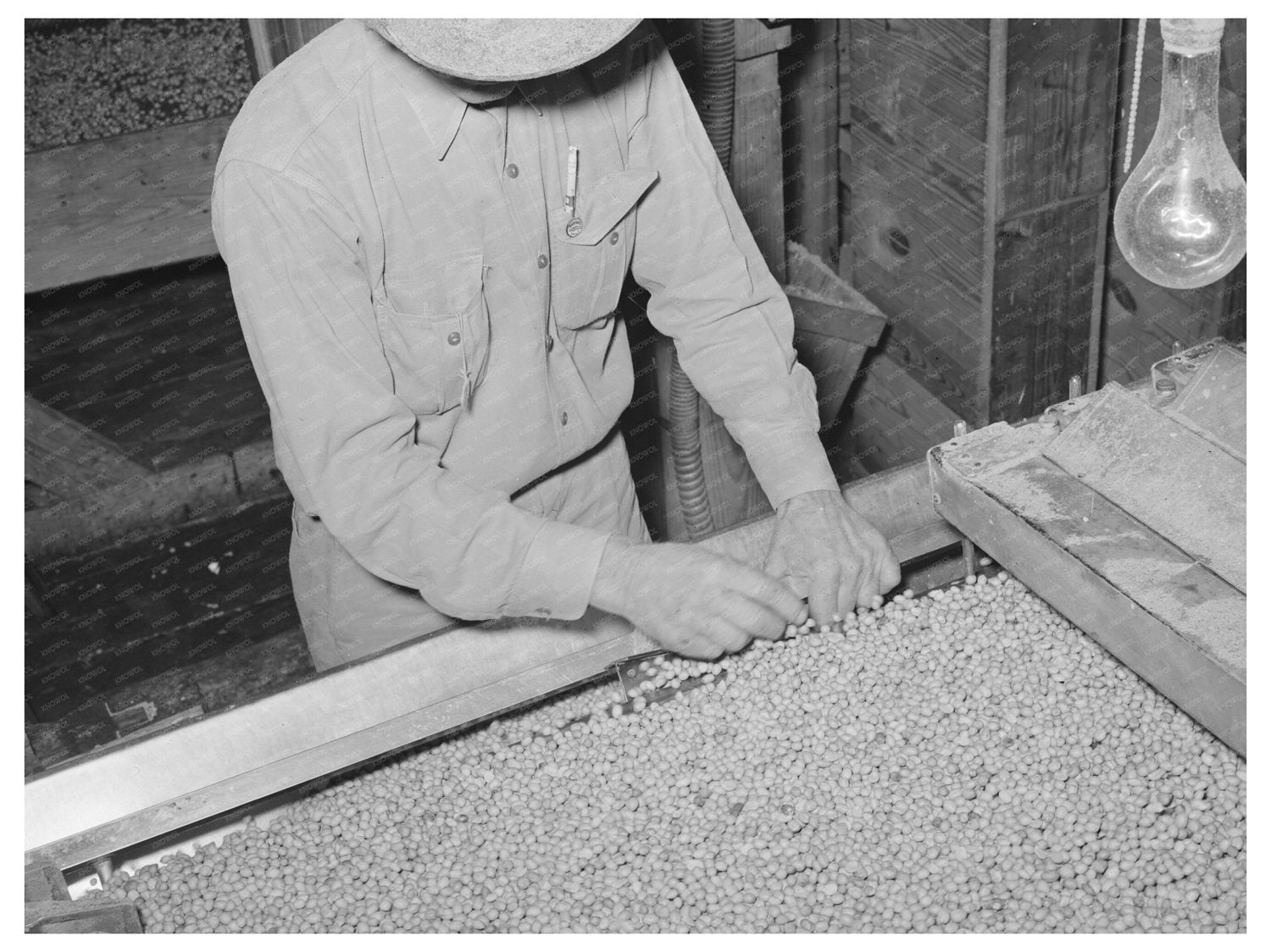 Workers Cleaning Screens at Peanut-Shelling Plant 1939