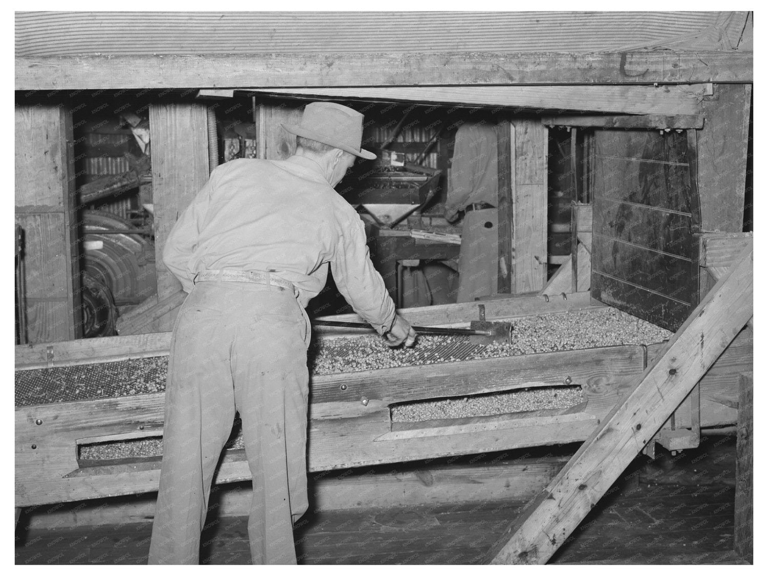 Peanut Shelling Plant Screens Cleaning Comanche Texas 1939
