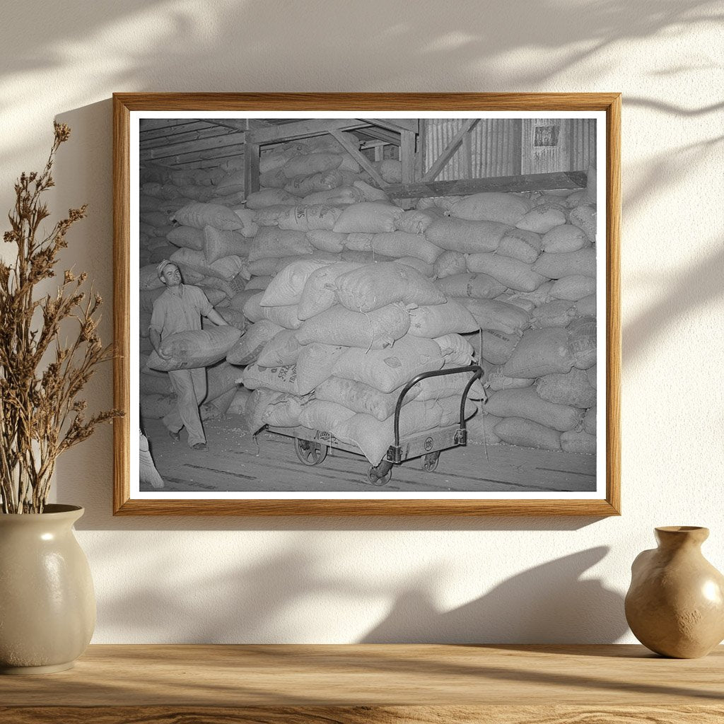Peanut Shell Feed Loading at Comanche Plant November 1939