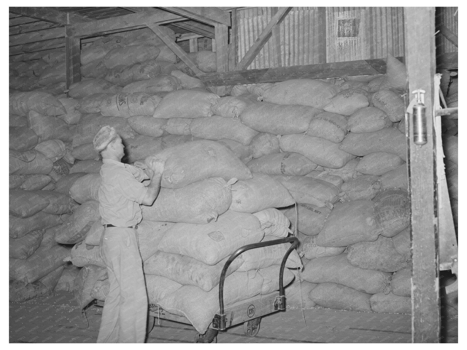 Peanut Shell Feed Loading Truck Comanche Texas 1939