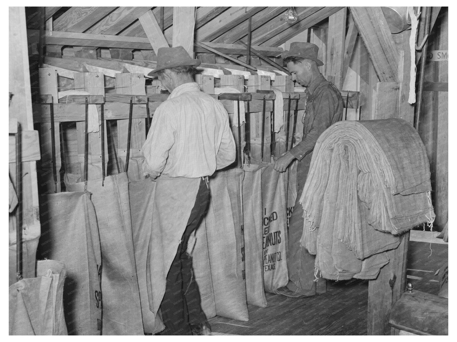 Workers Sacking Graded Peanuts Comanche Texas 1939