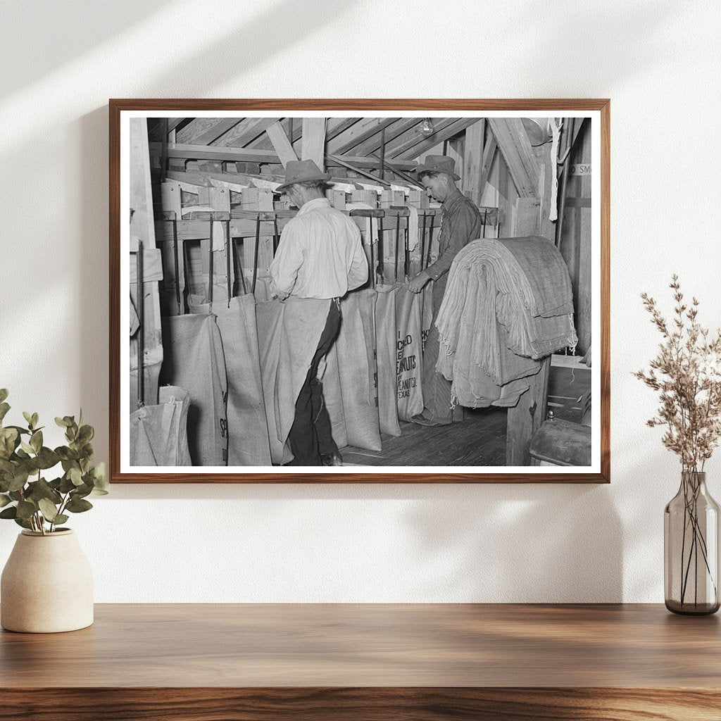 Workers Sacking Graded Peanuts Comanche Texas 1939