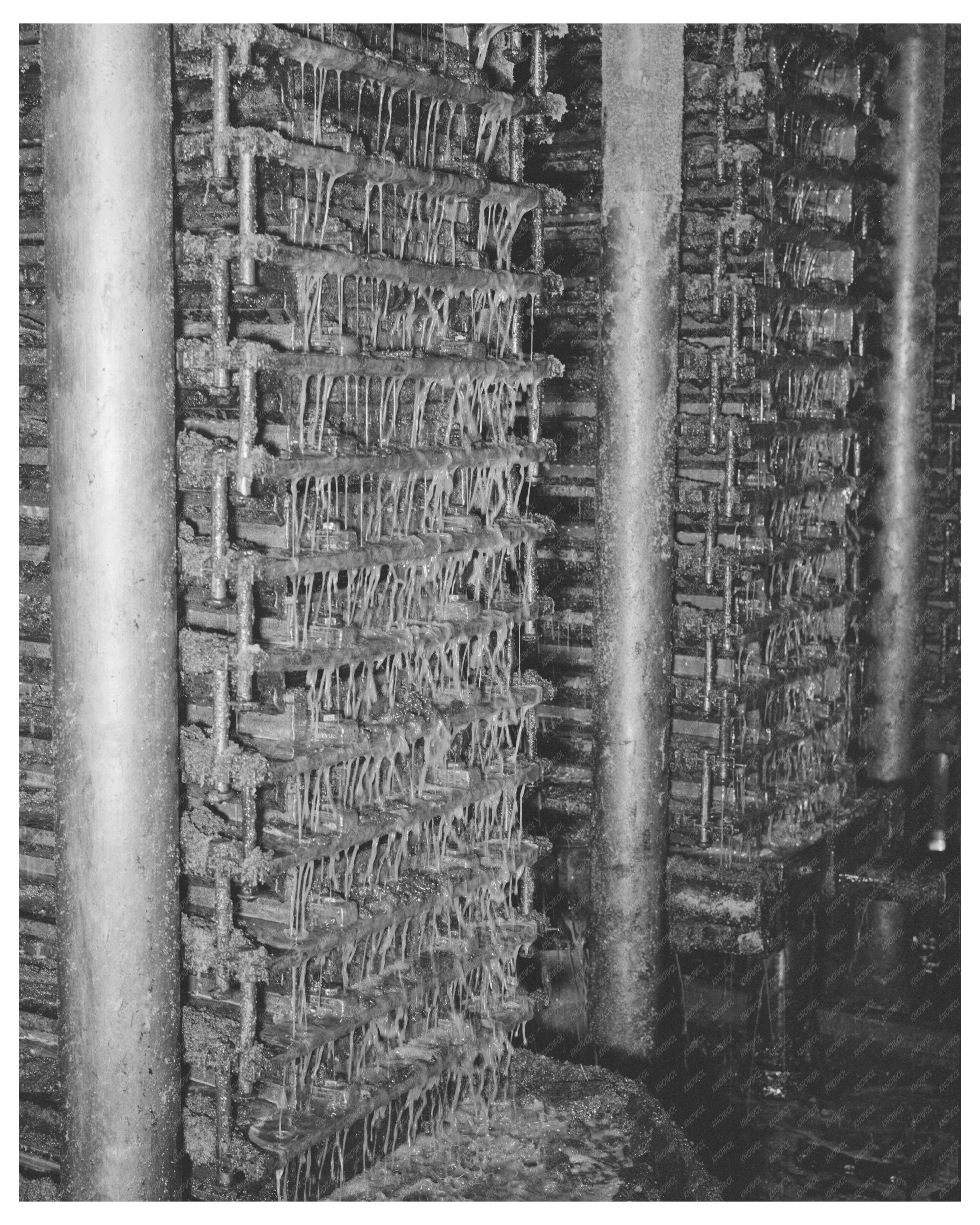 Cotton Seed Oil Extraction Process McLennan County 1939