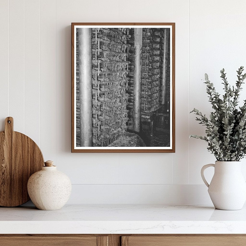 Cotton Seed Oil Extraction Process McLennan County 1939