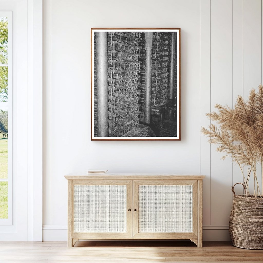 Cotton Seed Oil Extraction Process McLennan County 1939