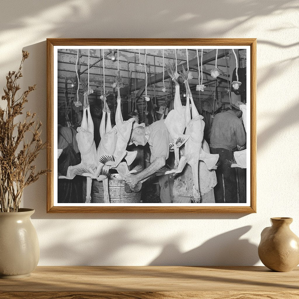 Sponge Necking Freshly Picked Turkeys Brownwood Texas 1939