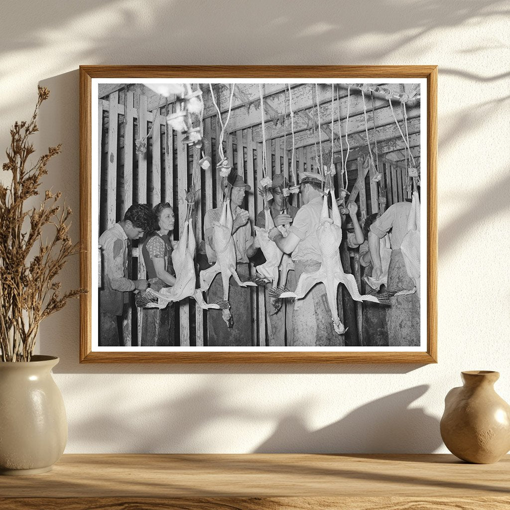 Workers Picking Turkeys at Brownwood Poultry House 1939